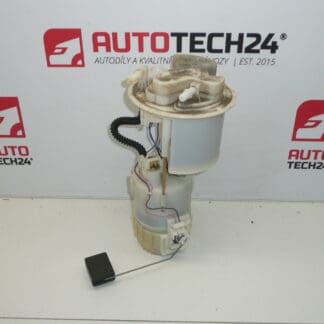 Brændstofpumpe Citroën Peugeot 77020-0H010 1507A1