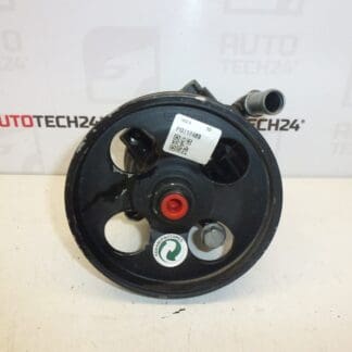 Servo Citroën Peugeot 1.6 HDI 9665709080 4007WL REPAS