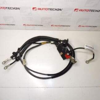 Tilslutningskabel + pol i motor Citroën Peugeot 1400721280 1400812780